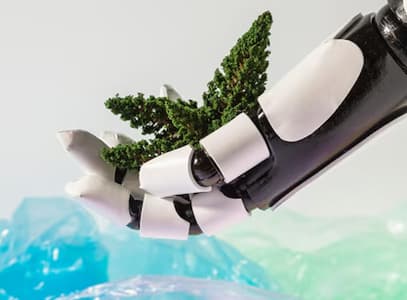 Durabilité et Technologies Innovantes dans la Production de Plastiques
