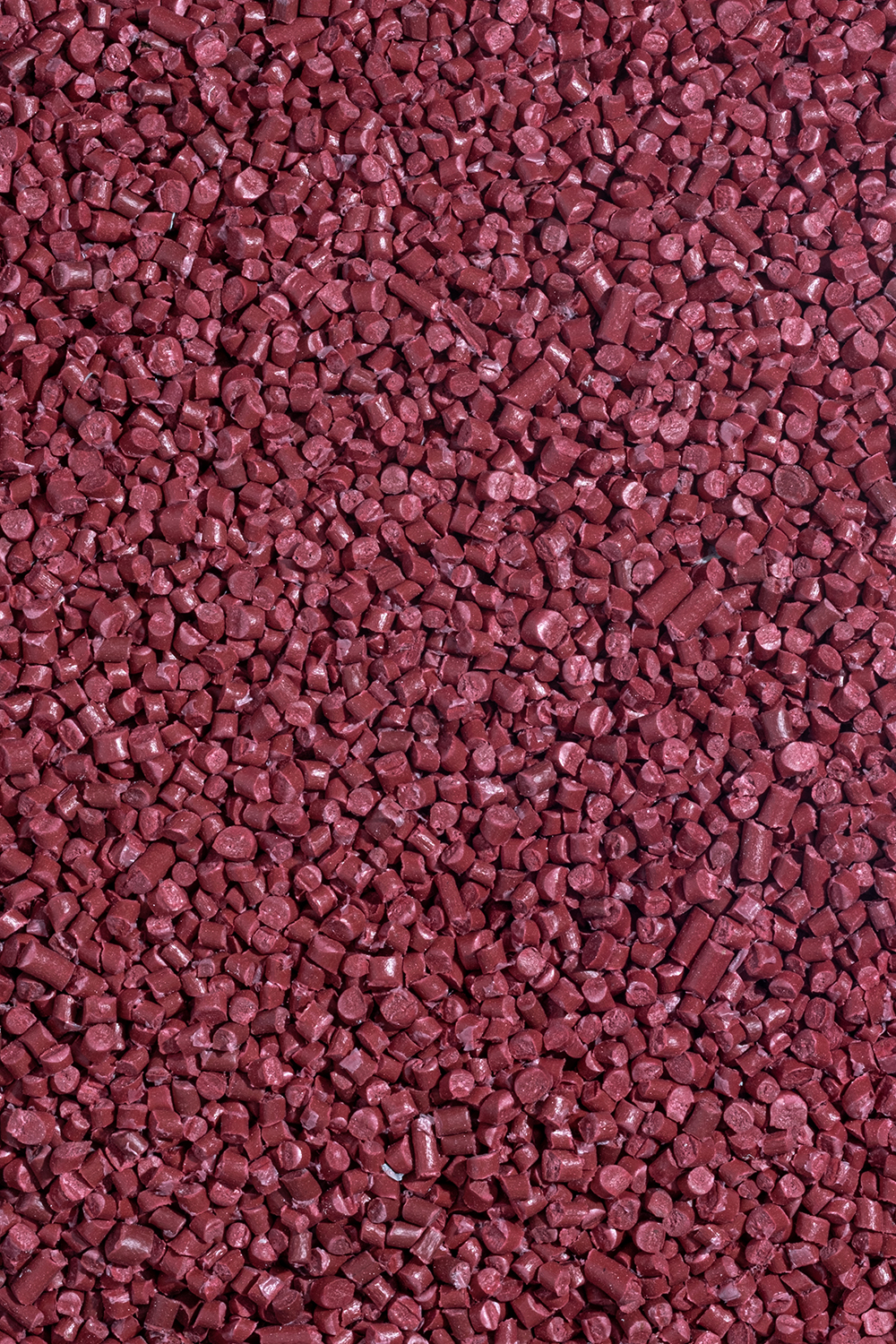rPP Burgundy