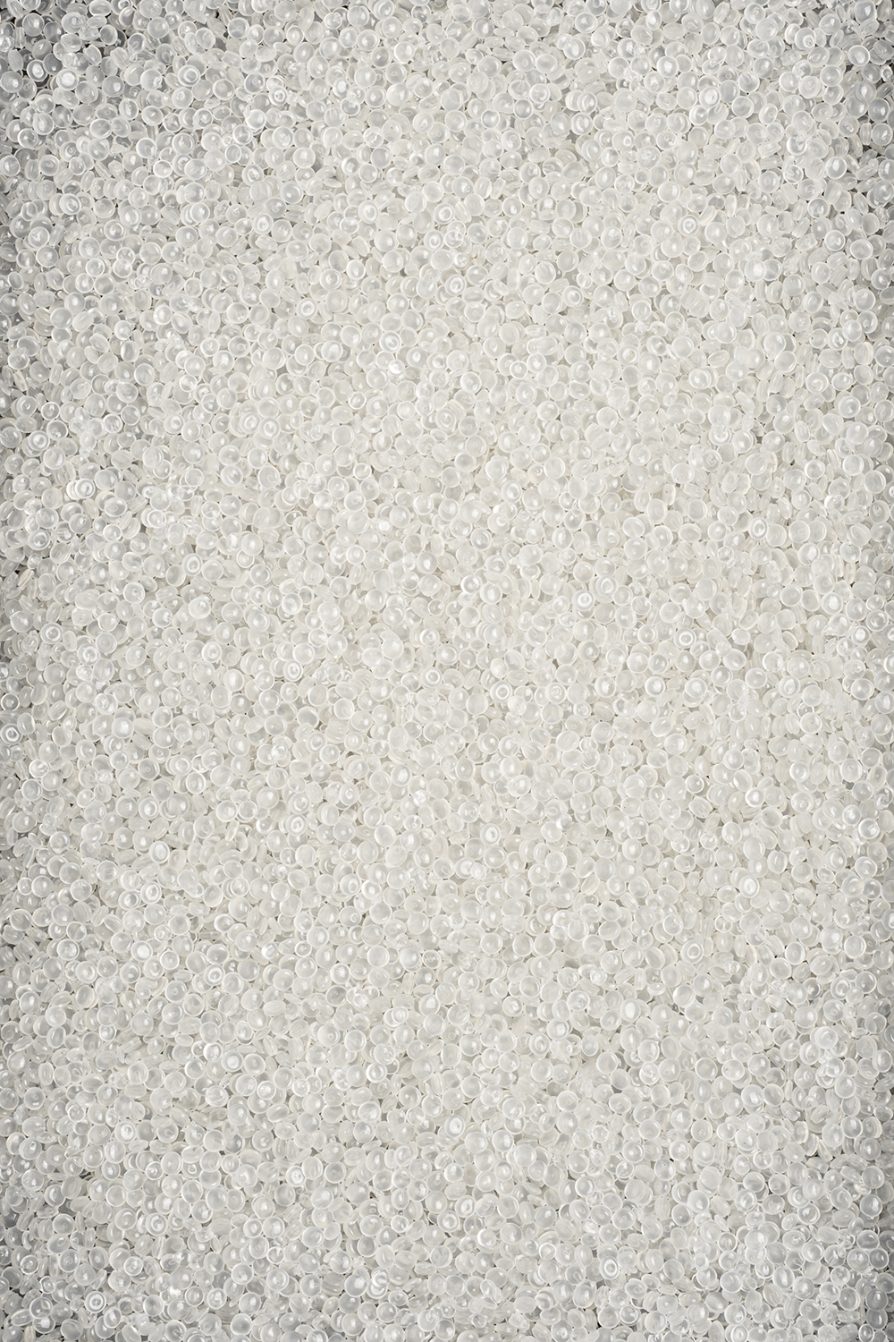 rPP Transparent
