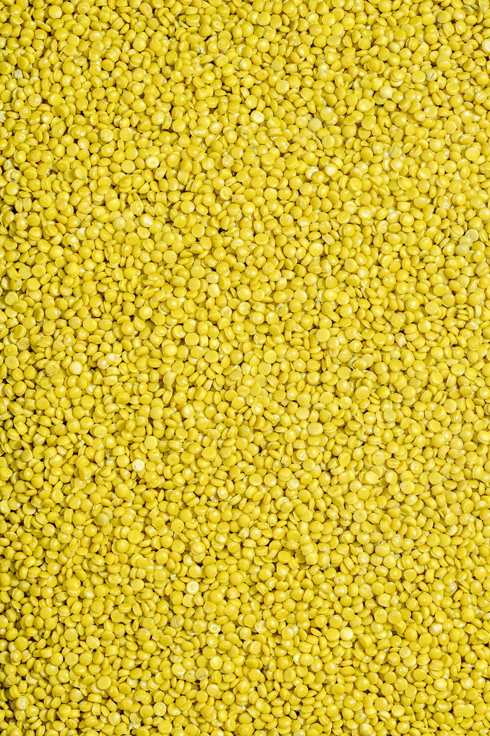 rPP Yellow